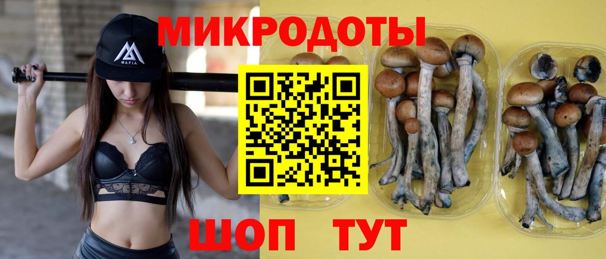 Кириши  Галлюциногенные грибы Psilocybine cubensis  Псилоцибиновые грибы ЛСД  Вход с VPN 
