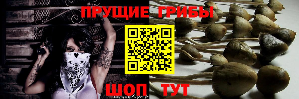 Псилоцибиновые грибы Magic Shrooms Кириши